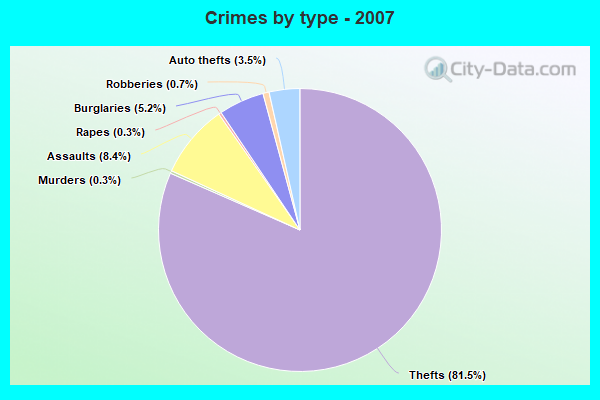 Crimes by type - 2007