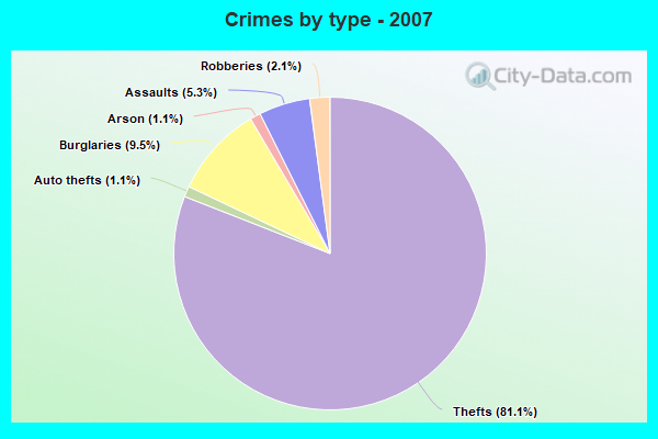 Crimes by type - 2007