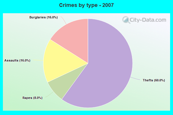 Crimes by type - 2007