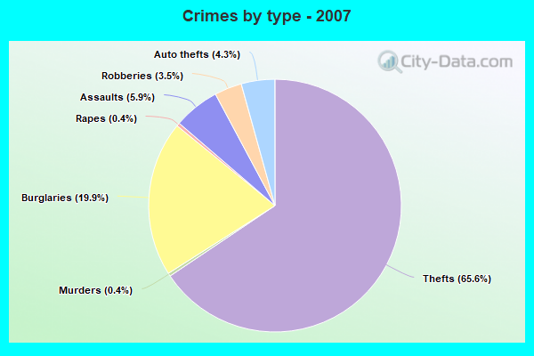 Crimes by type - 2007