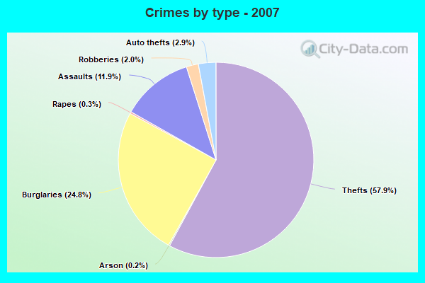 Crimes by type - 2007