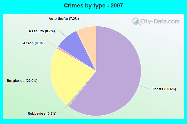 Crimes by type - 2007