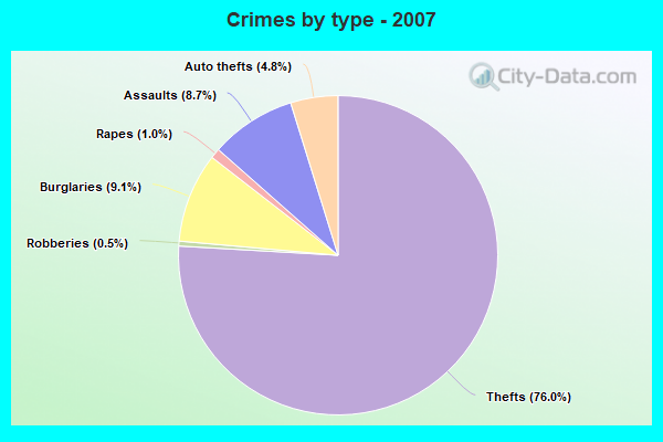 Crimes by type - 2007