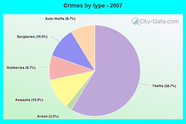 Crimes by type - 2007