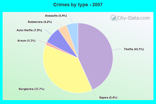 Crimes by type - 2007