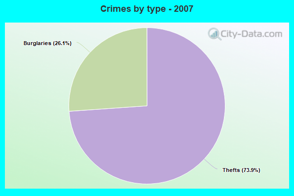 Crimes by type - 2007