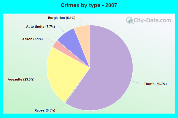 Crimes by type - 2007