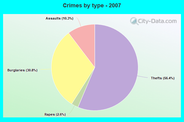 Crimes by type - 2007