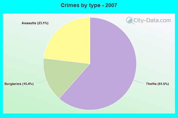 Crimes by type - 2007