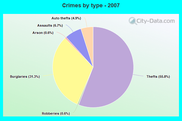 Crimes by type - 2007