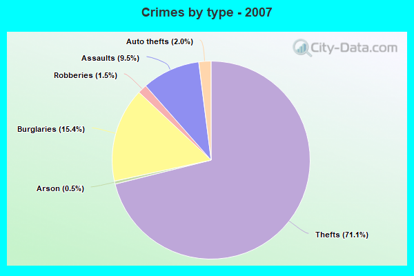 Crimes by type - 2007