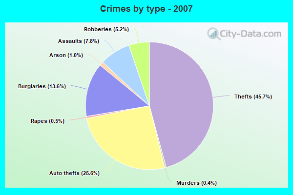 Crimes by type - 2007