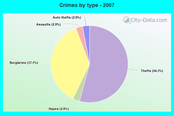 Crimes by type - 2007