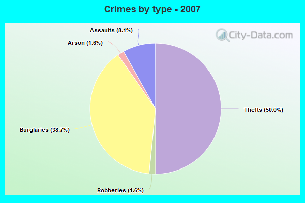 Crimes by type - 2007