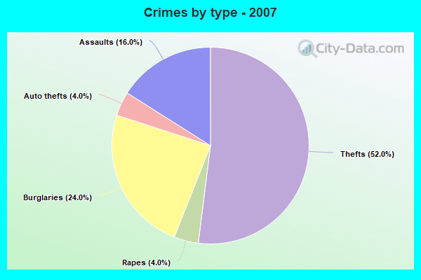 Crimes by type - 2007