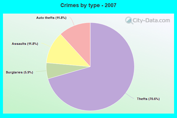 Crimes by type - 2007