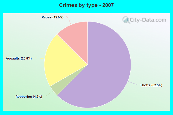 Crimes by type - 2007