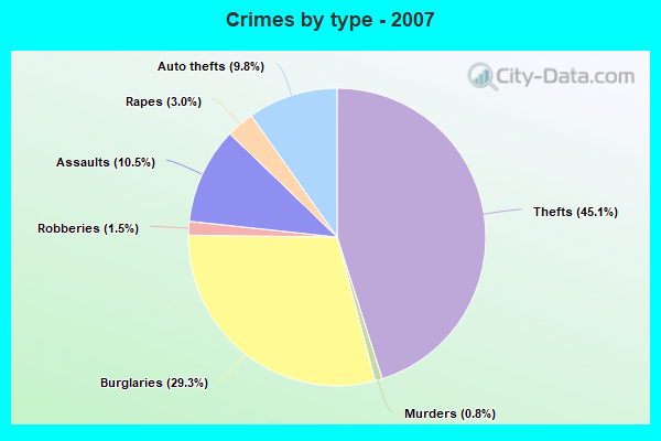 Crimes by type - 2007