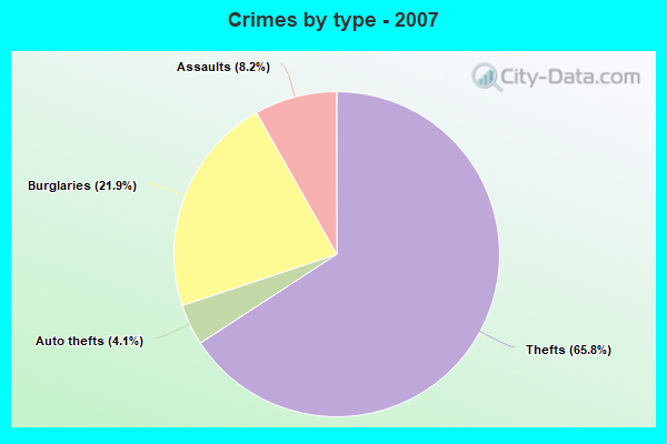 Crimes by type - 2007