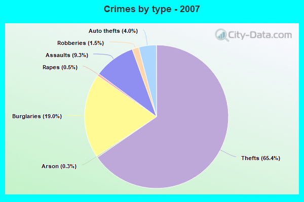 Crimes by type - 2007