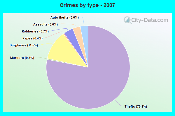 Crimes by type - 2007