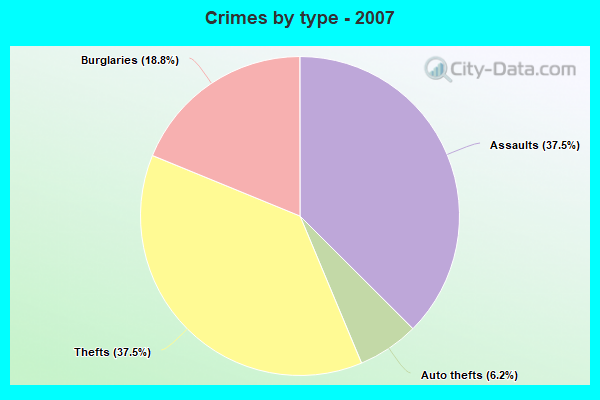 Crimes by type - 2007