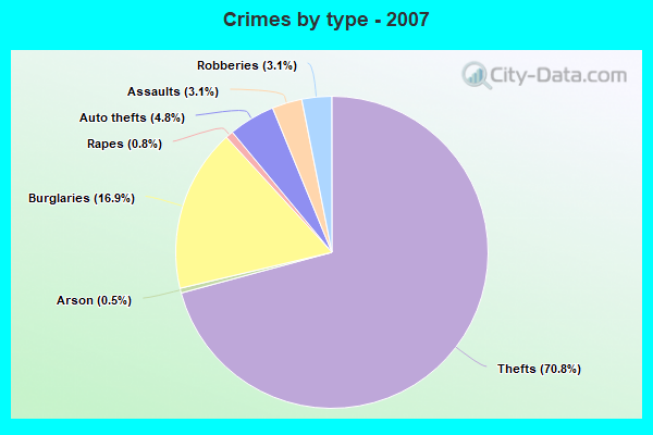 Crimes by type - 2007