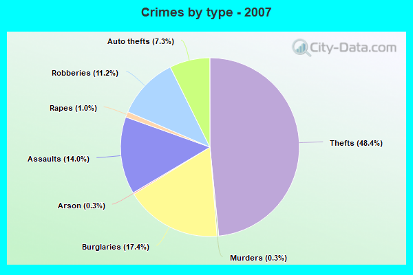 Crimes by type - 2007