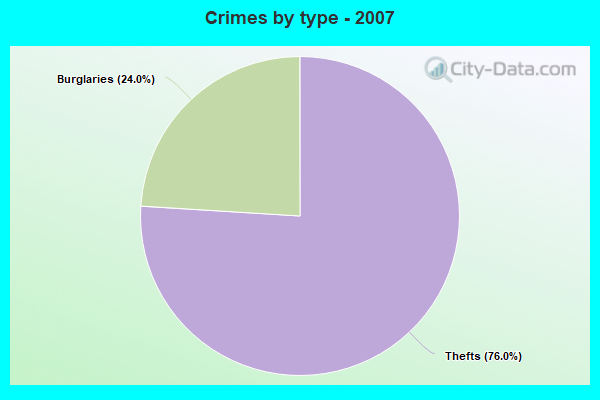 Crimes by type - 2007