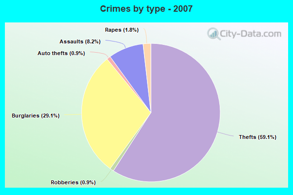 Crimes by type - 2007