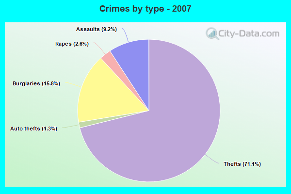 Crimes by type - 2007