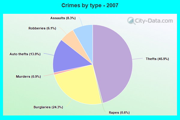 Crimes by type - 2007