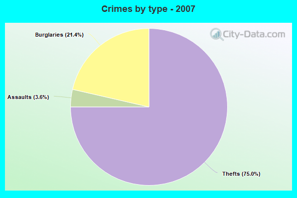 Crimes by type - 2007