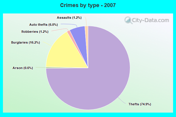 Crimes by type - 2007