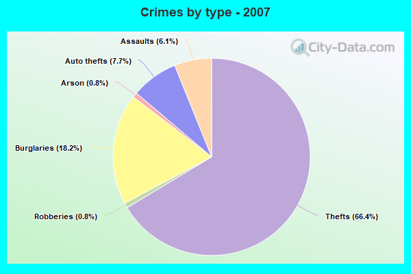 Crimes by type - 2007