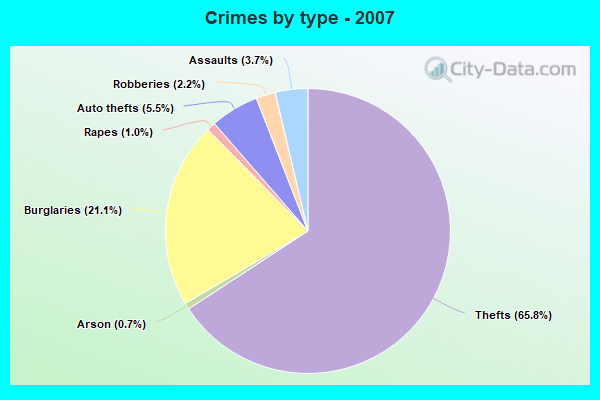 Crimes by type - 2007