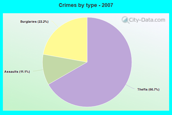 Crimes by type - 2007