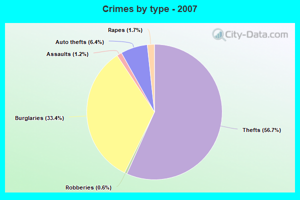 Crimes by type - 2007