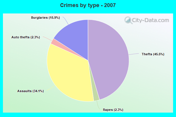 Crimes by type - 2007