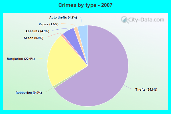 Crimes by type - 2007