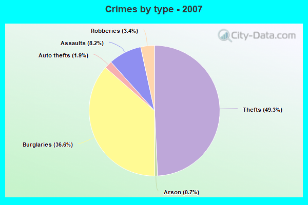 Crimes by type - 2007