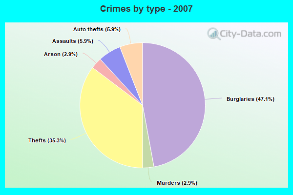 Crimes by type - 2007