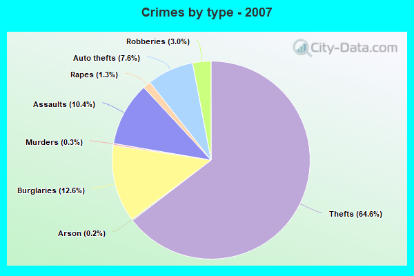 Crimes by type - 2007