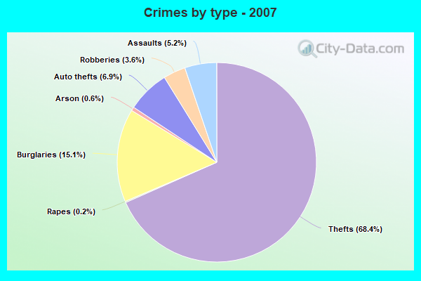 Crimes by type - 2007