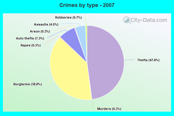 Crimes by type - 2007