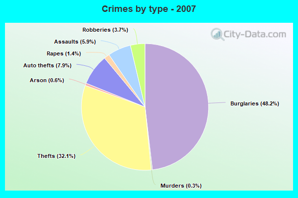 Crimes by type - 2007