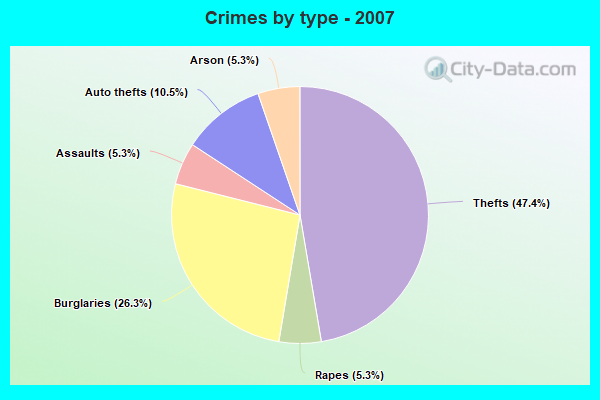 Crimes by type - 2007