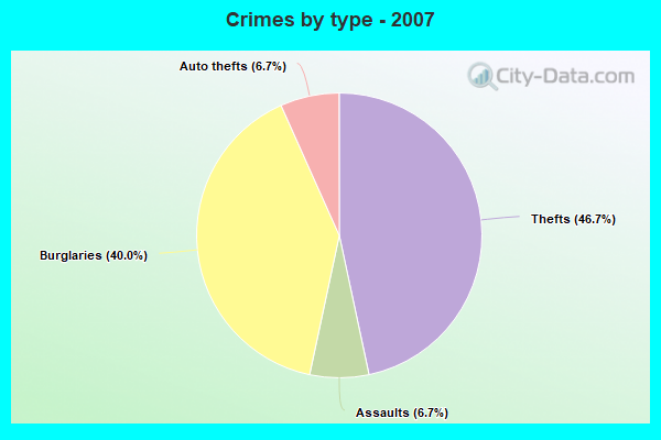 Crimes by type - 2007