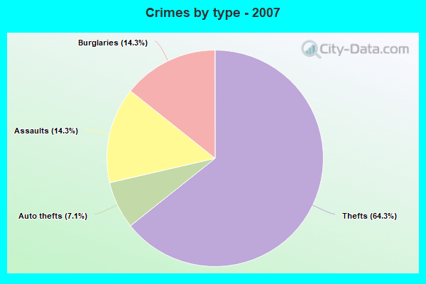 Crimes by type - 2007