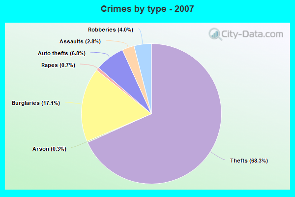 Crimes by type - 2007